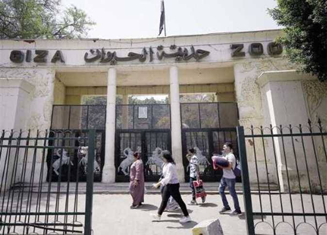 بعث جديد لتاج الجيزة الأخضر: حديقة الحيوان تعود بهوية عالمية وتاريخ لا يغيب
